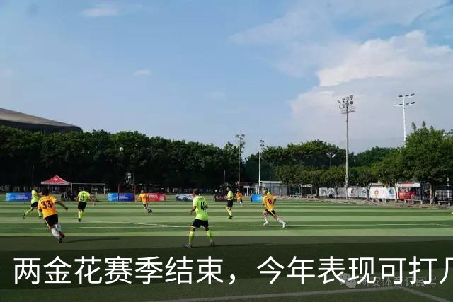 两金花赛季结束，今年表现可打几分？