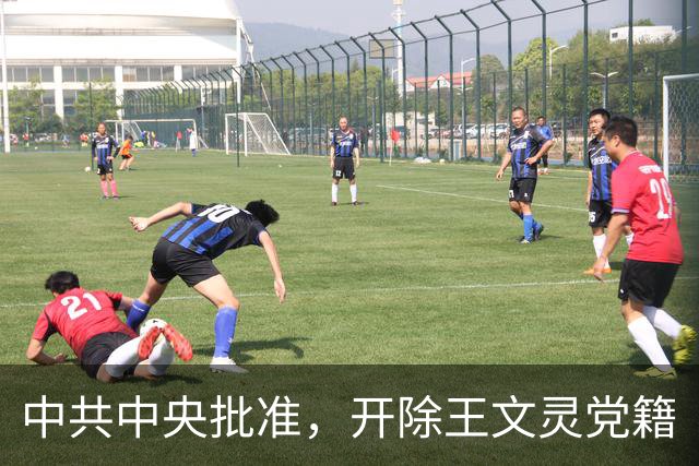 中共中央批准，开除王文灵党籍