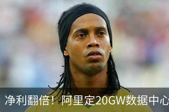 净利翻倍！阿里定20GW数据中心目标，这条赛道高增长