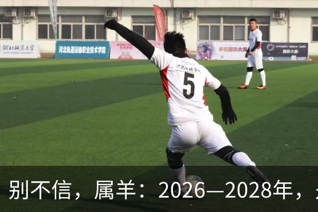别不信，属羊：2026—2028年，是你人生下半场最凶猛的爆发点
