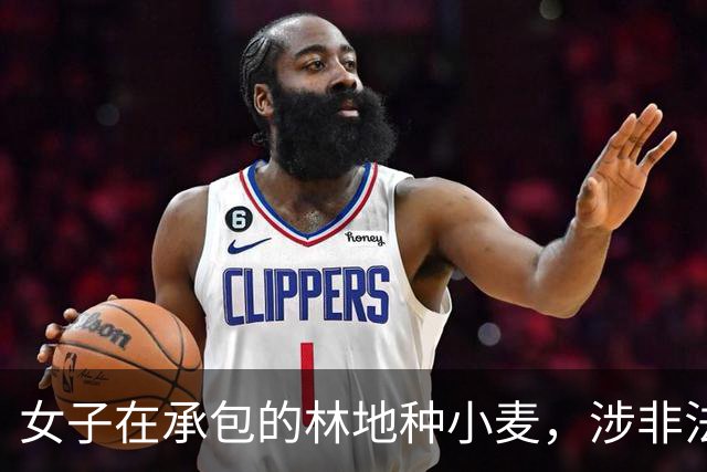 女子在承包的林地种小麦，涉非法占用农用地罪被刑拘；一个标点引发定罪争议：顿号是“或”还是“和”？观点：宜尽快出台权威解释避免错案