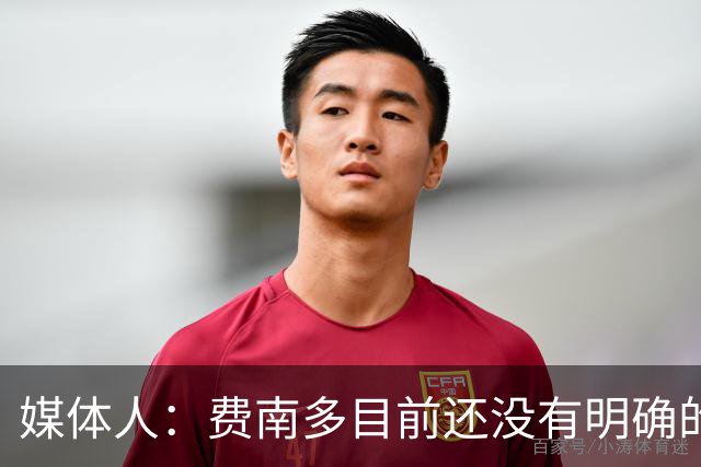 媒体人：费南多目前还没有明确的下家
