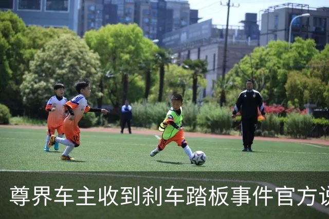 尊界车主收到刹车踏板事件官方说明：加压3000N未断裂损坏