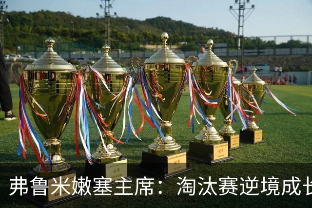 弗鲁米嫩塞主席：淘汰赛逆境成长，目标锁定2027解放者杯