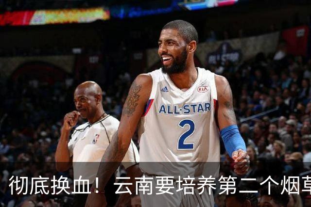 彻底换血！云南要培养第二个烟草产业，它够格接棒吗？