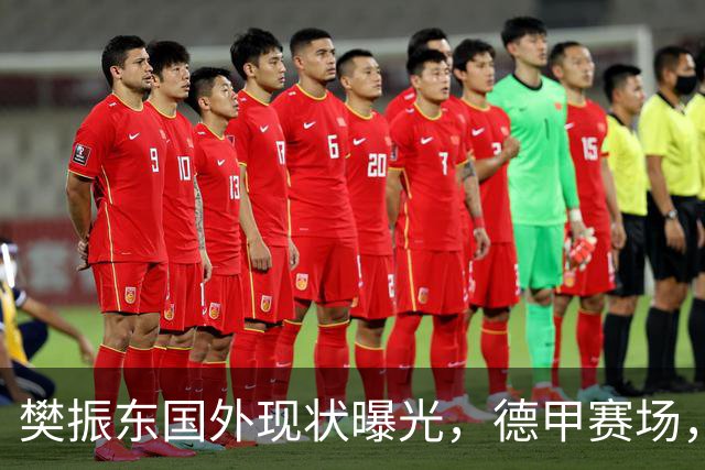 樊振东国外现状曝光，德甲赛场，一人撑起一个队，让人服气