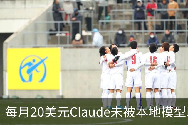 每月20美元Claude未被本地模型取代，被取代的是不敢上云的事