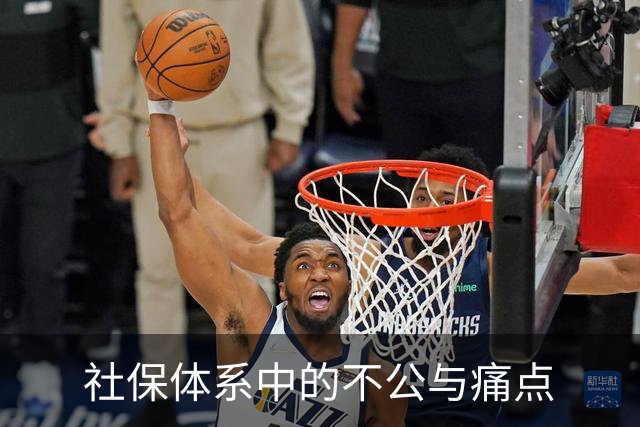 社保体系中的不公与痛点
