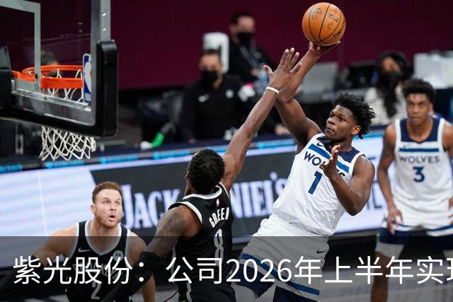 紫光股份：公司2026年上半年实现营业收入635.16亿，同比增长33.93%