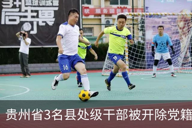 贵州省3名县处级干部被开除党籍、开除公职