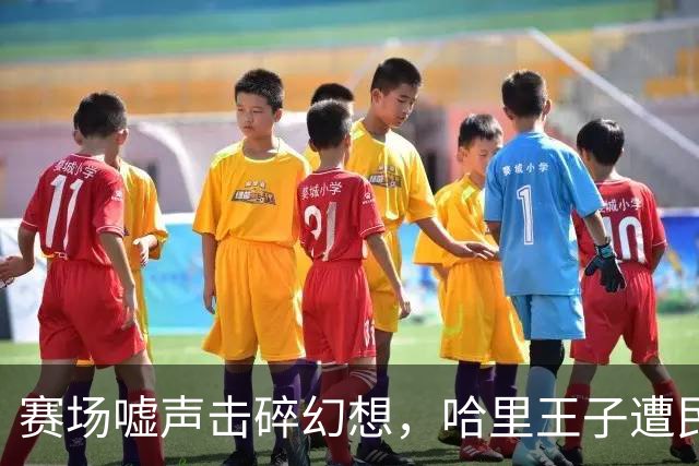 赛场嘘声击碎幻想，哈里王子遭民众冷遇，看上去几乎要“落泪”