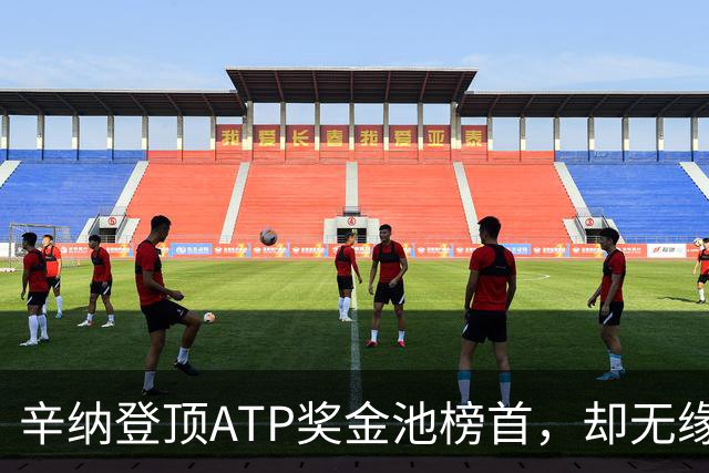辛纳登顶ATP奖金池榜首，却无缘450万美元巨额奖励