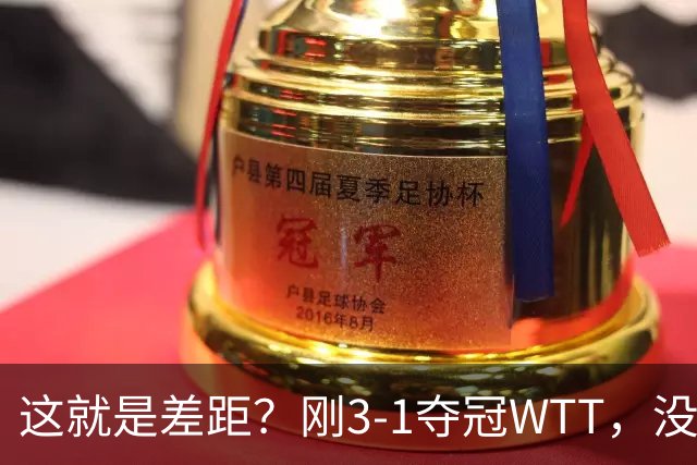 这就是差距？刚3-1夺冠WTT，没想到蒯曼赛后这样说，王曼昱很实在